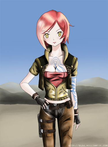 Borderlands - Fan art